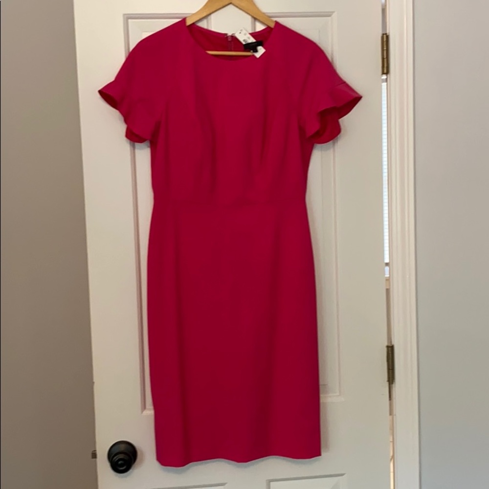 Stunning NWT pink J Crew dress, 6